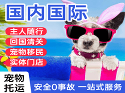 荷花航空空运国际宠物托运 【国